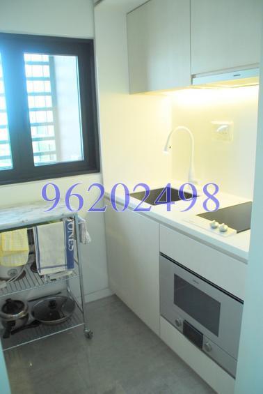 Fulcrum (D15), Condominium #135463762